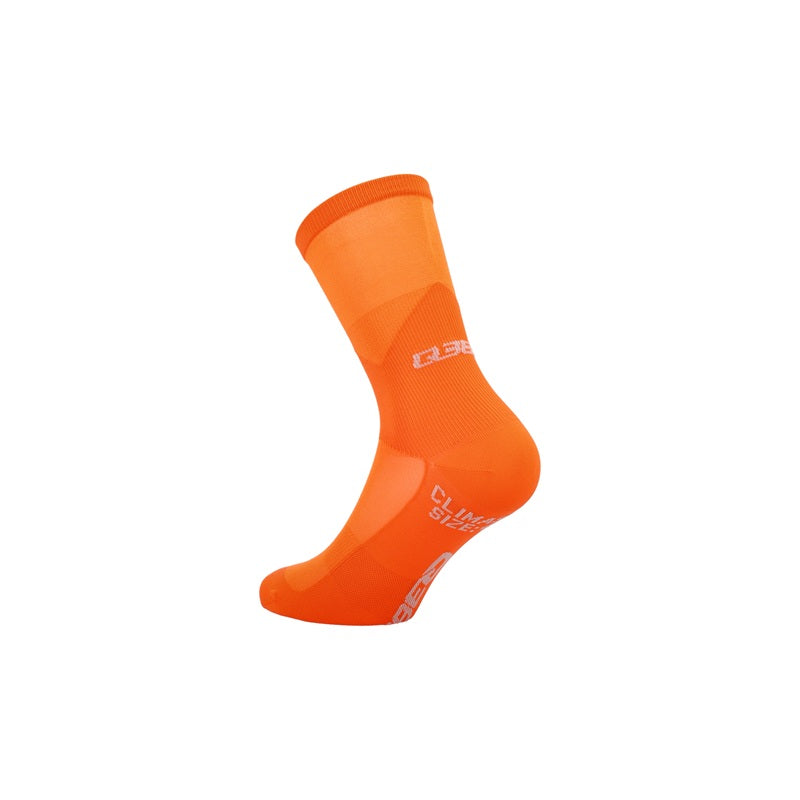 Q36.5 Clima 17 Socks