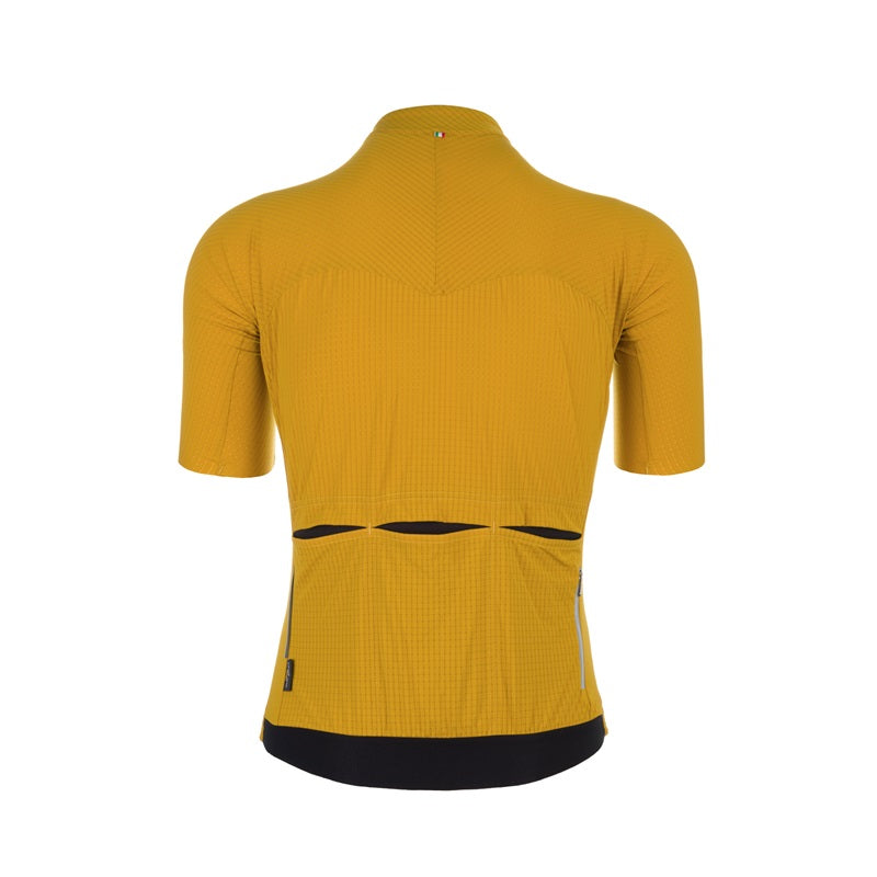 Q36.5 Jersey Shortsleeve Dottore Pro Curry
