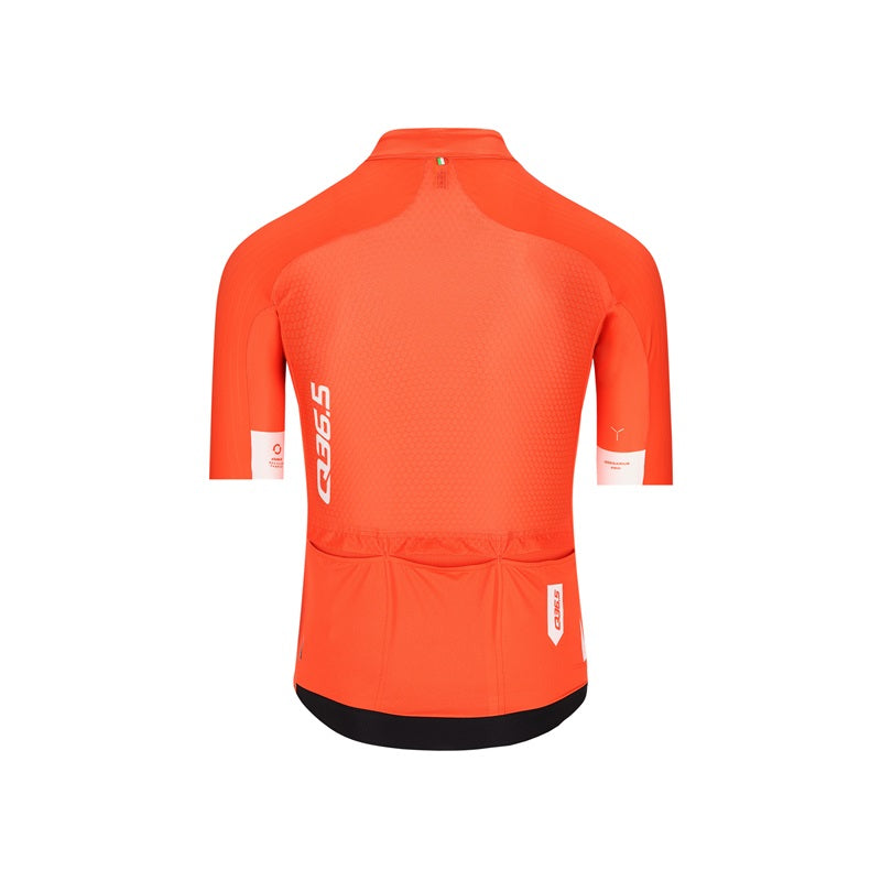 Q36.5 Jersey Shortsleeve Gregarius Pro Signature 2025