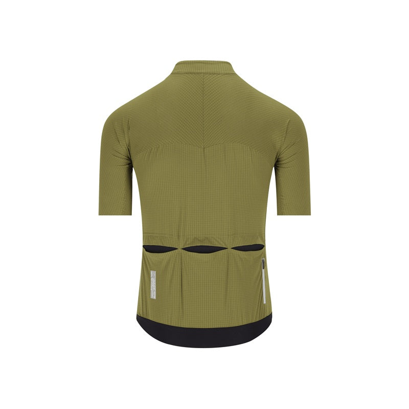 Q36.5 Jersey Shortsleeve Dottore Pro Drab Green