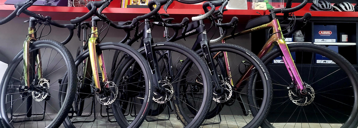 Bicycle Rental Service Singapore | Rent A Bicycle Now!